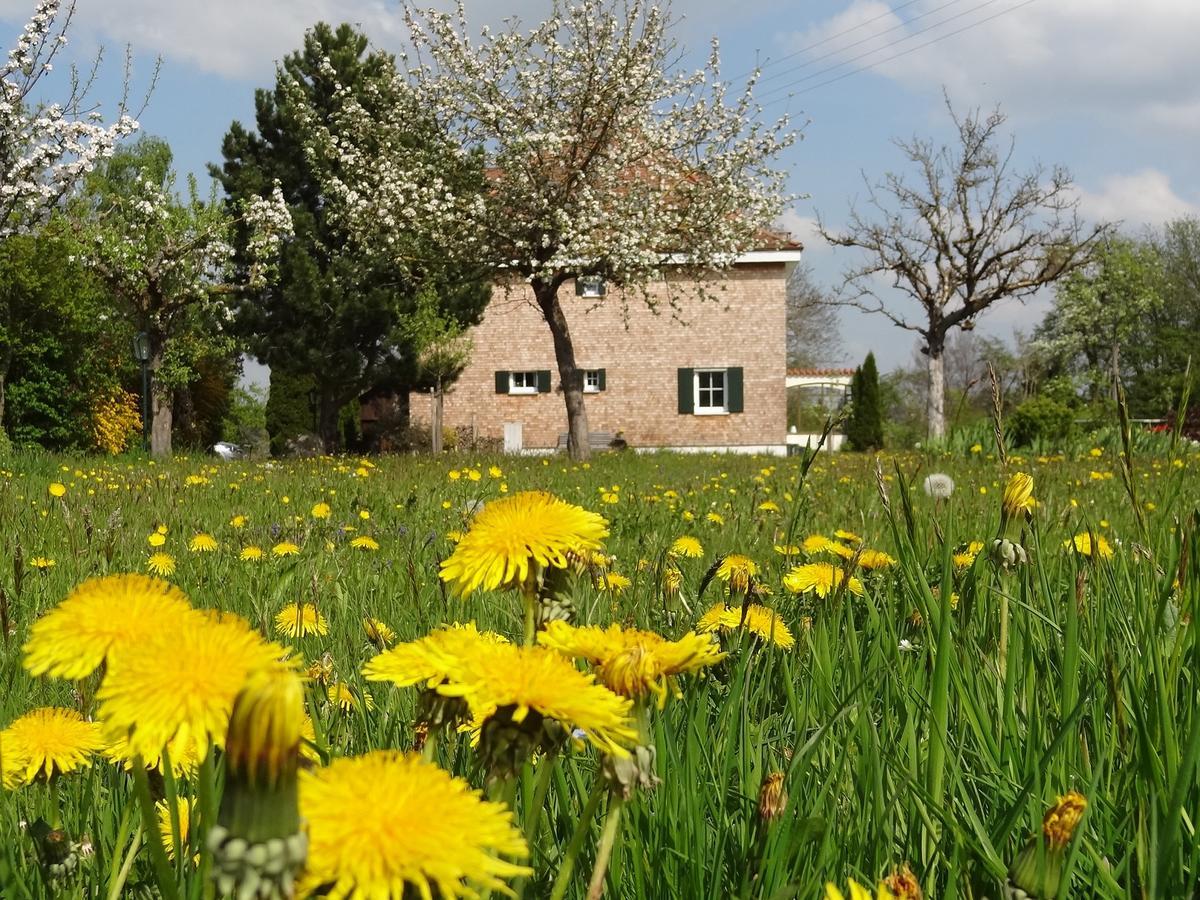 Landhaus Loewenzahn Unteregg Екстер'єр фото