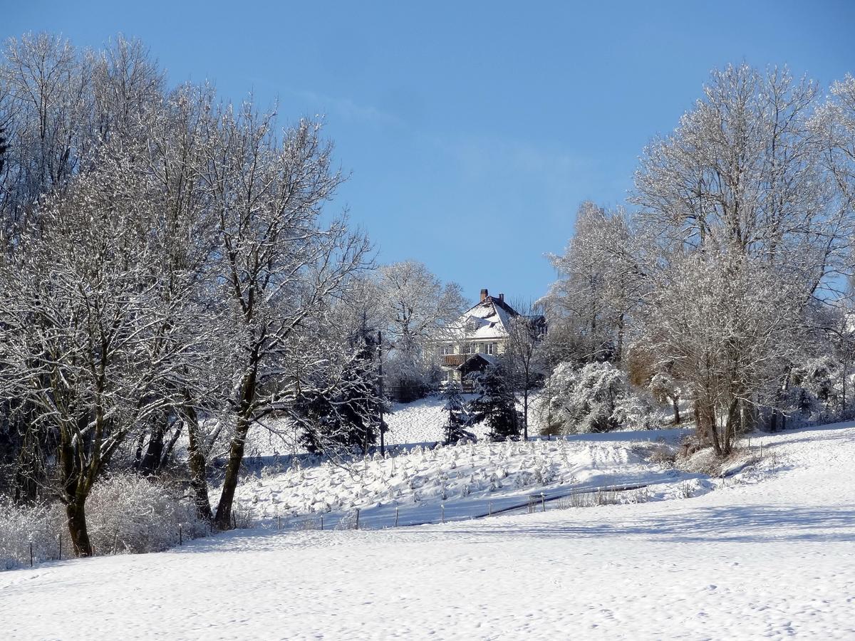 Landhaus Loewenzahn Unteregg Екстер'єр фото